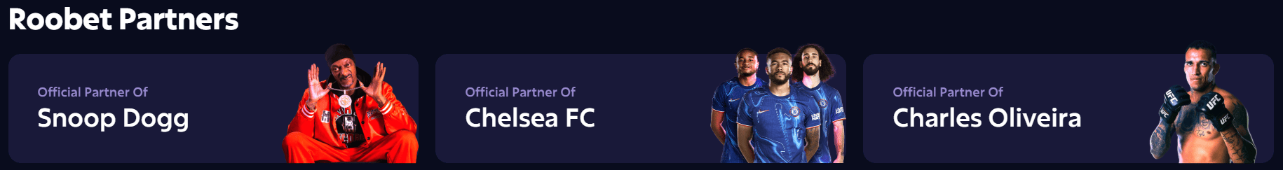 partners roobet